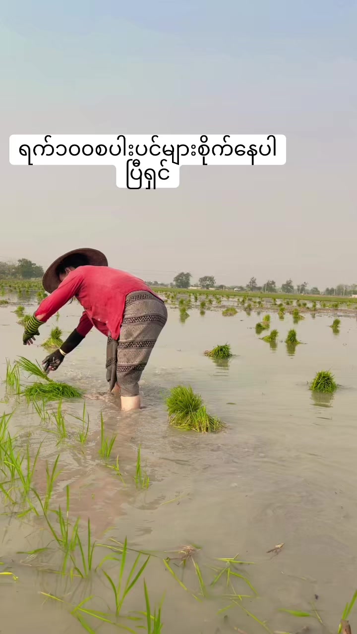 @ဝင်းသီတာဆန်စက်09/757 997 274