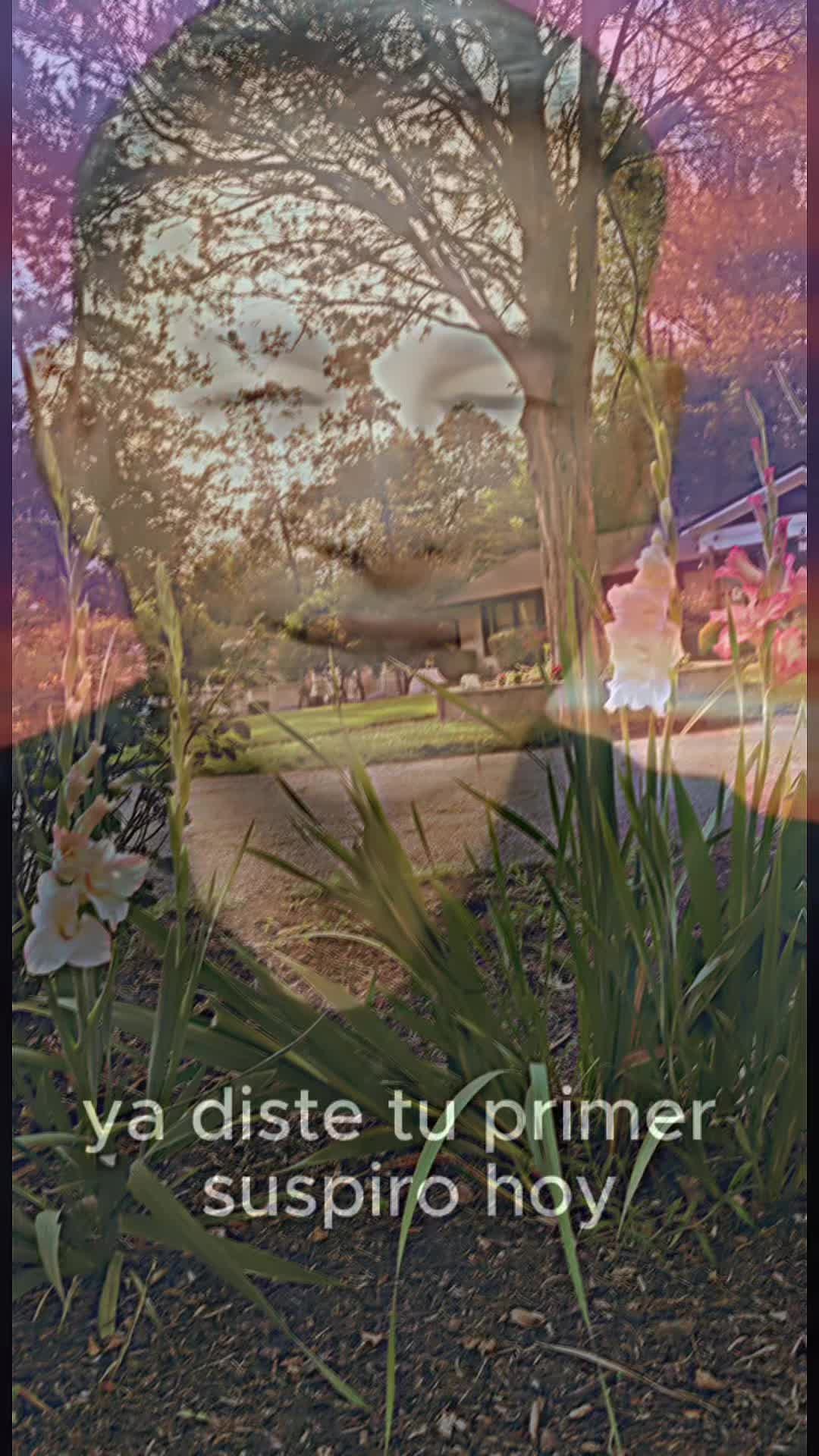 @L_Lily05☘️🌏🙌🏻