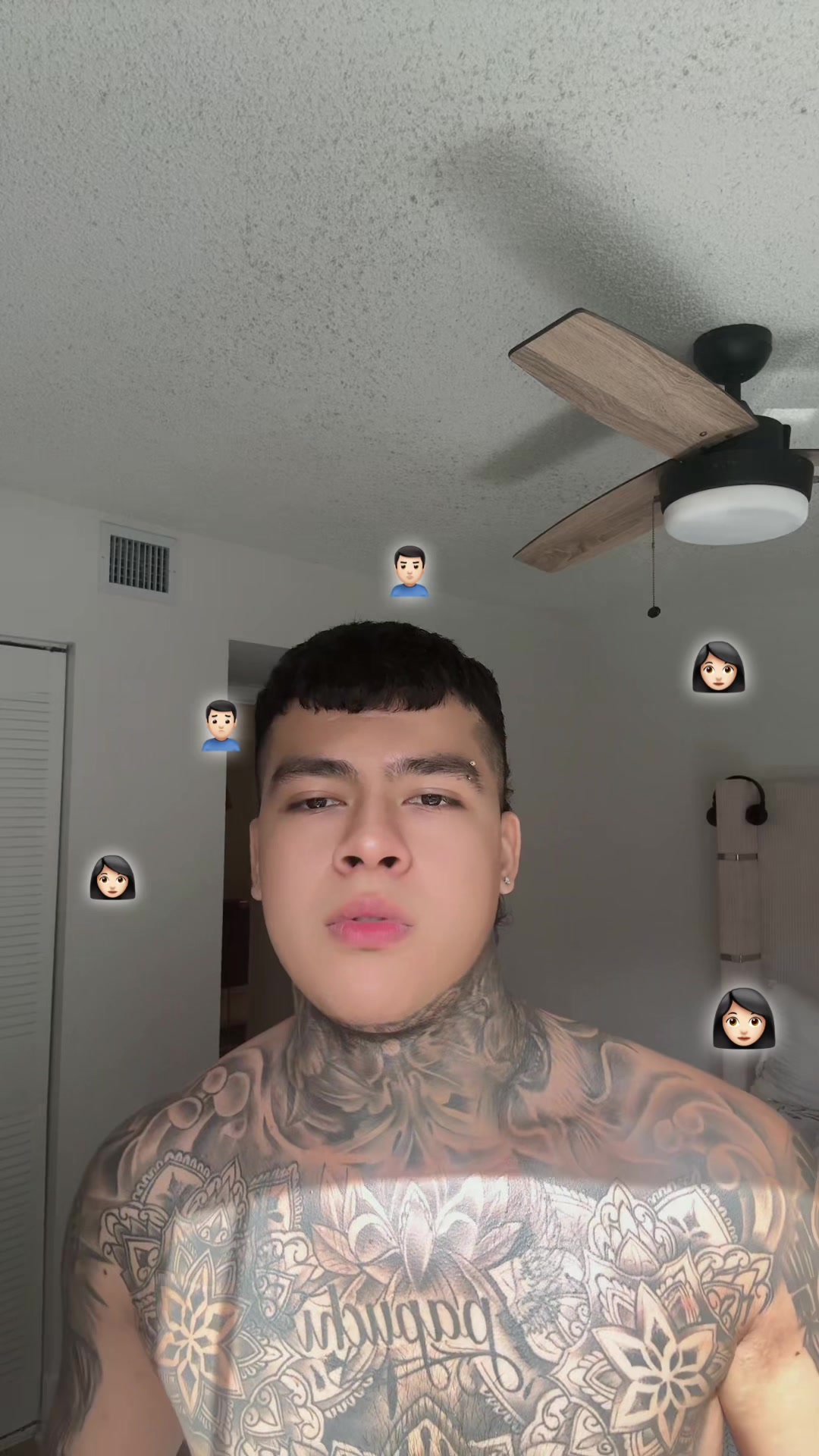 @palomino🦁