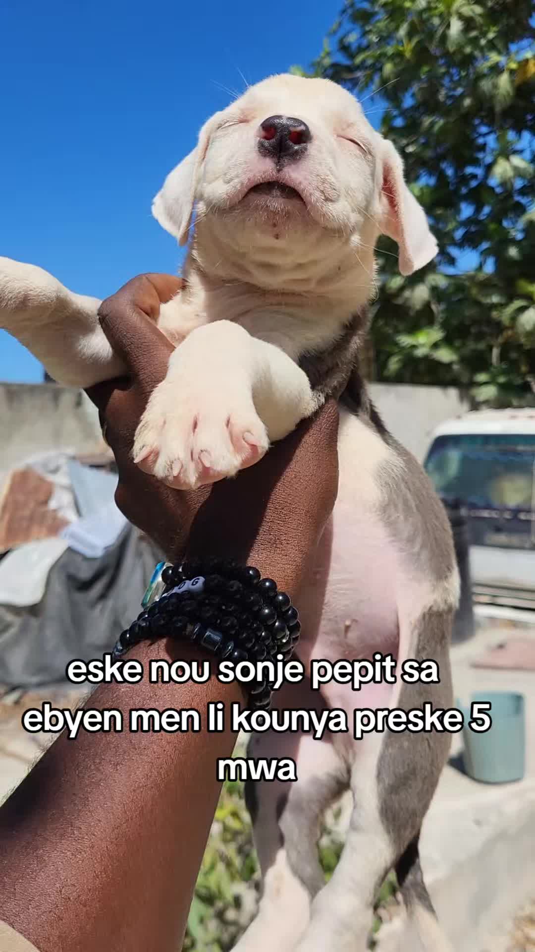 @Bendog