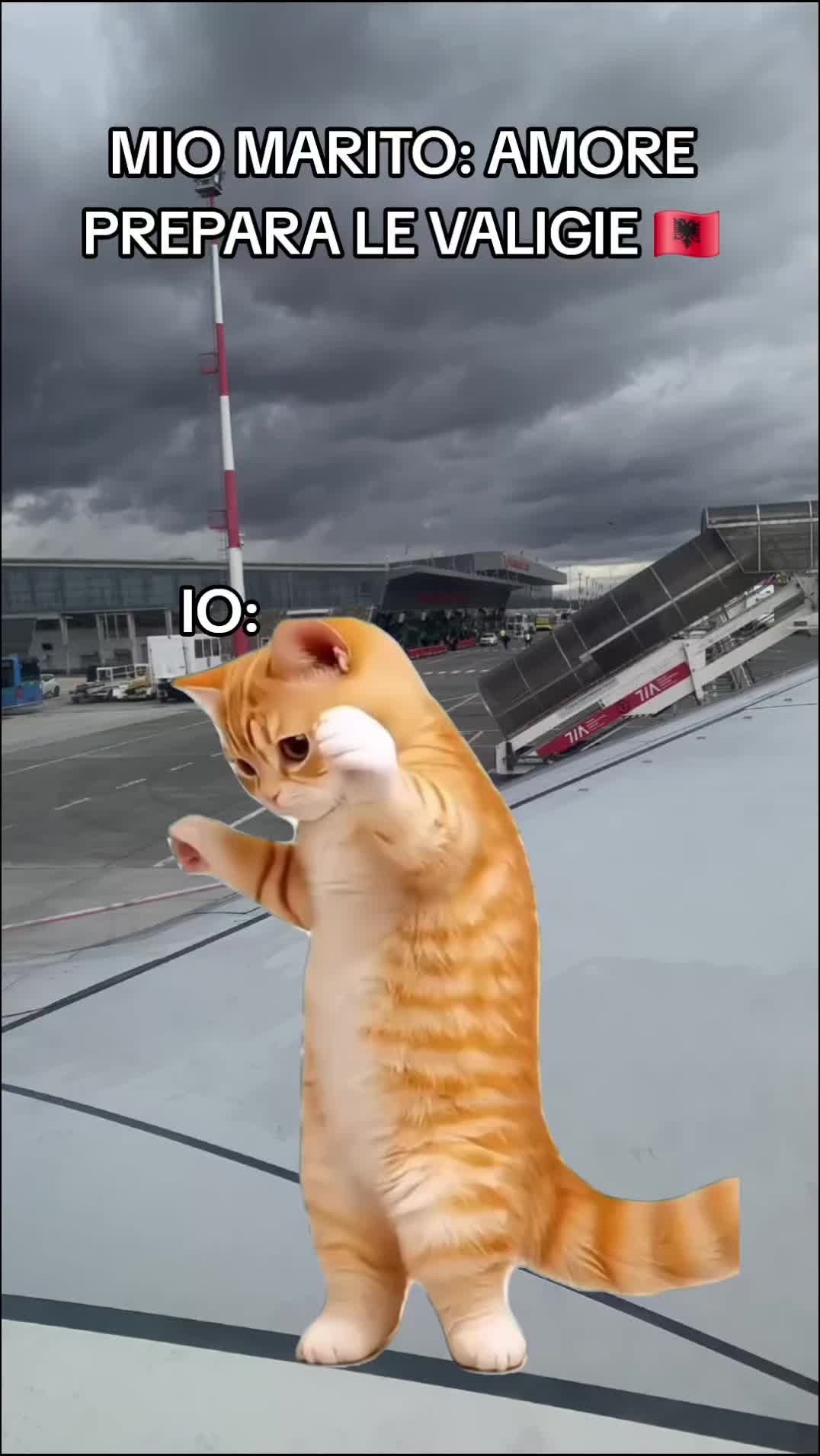 @CASALIMO.