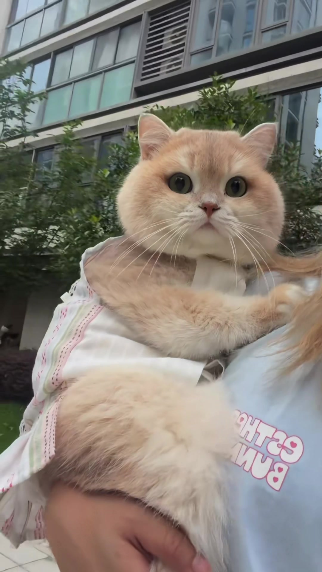 @My Daily Dose of Aww