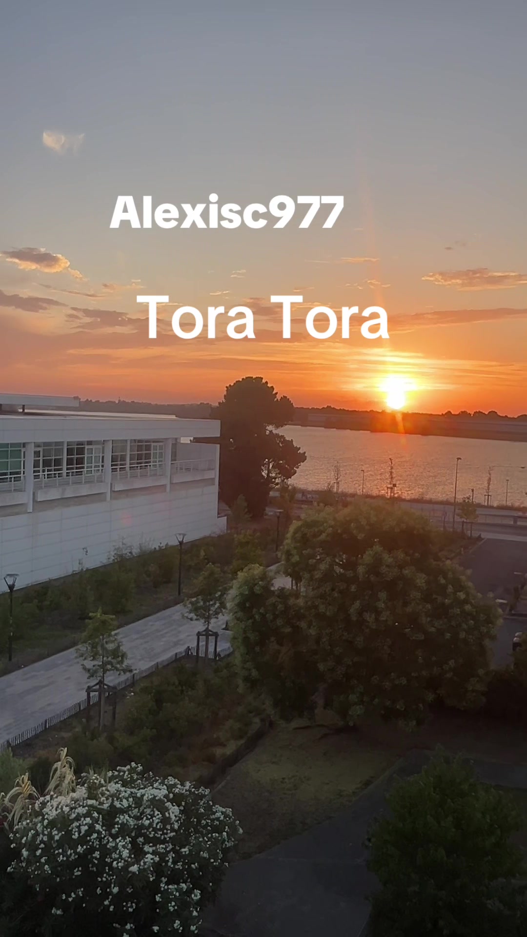 @alexisc977