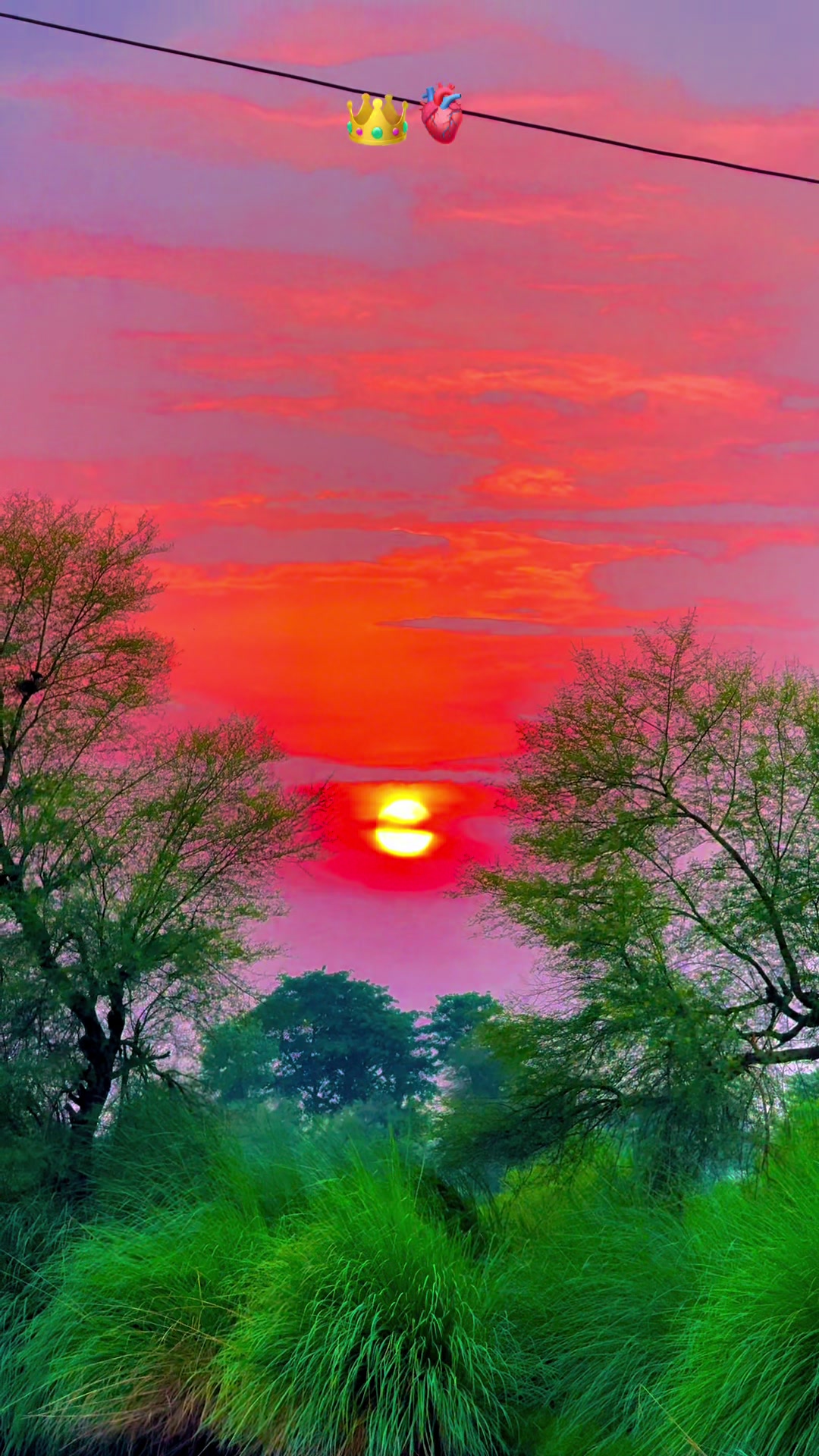@پنجابی کلچر 🌾🍂