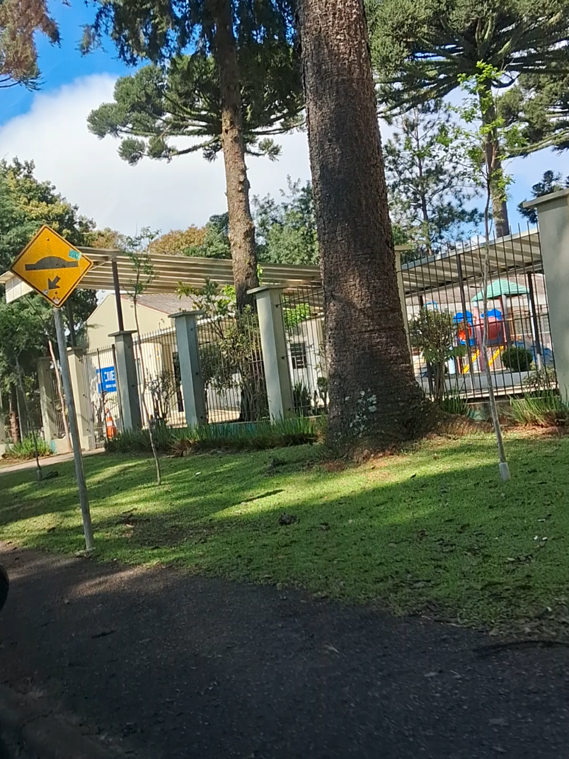 @Dona Cida, Pé na Estrada