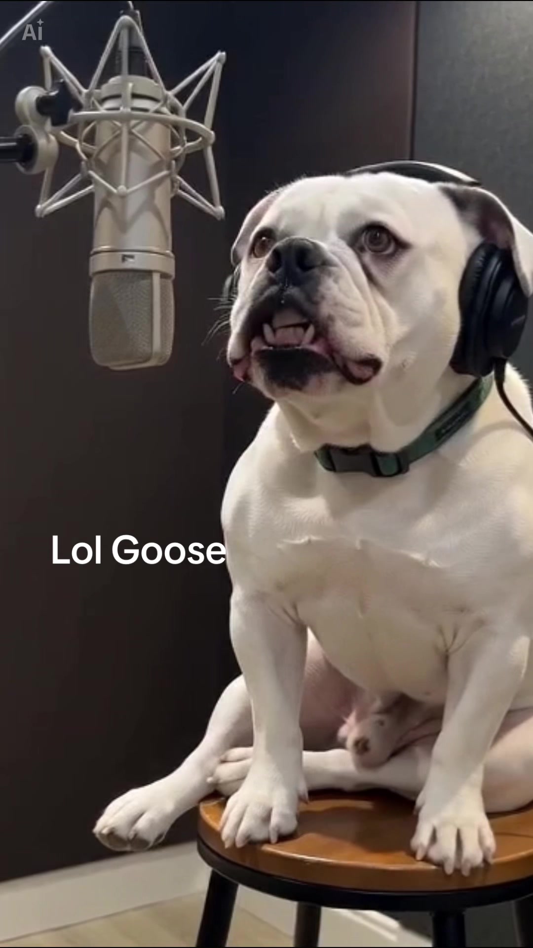 @Rescuelady