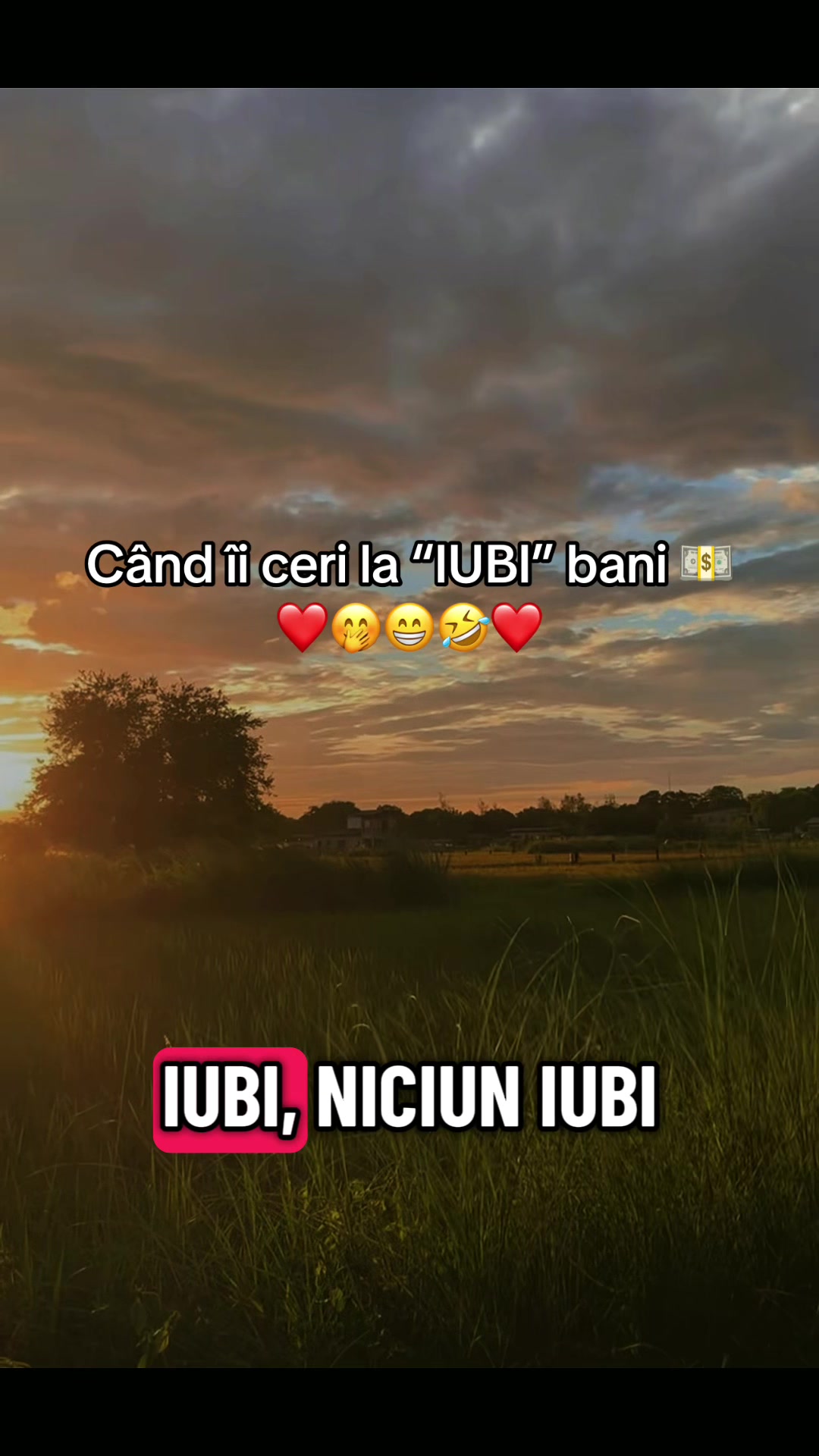 @Ionut17