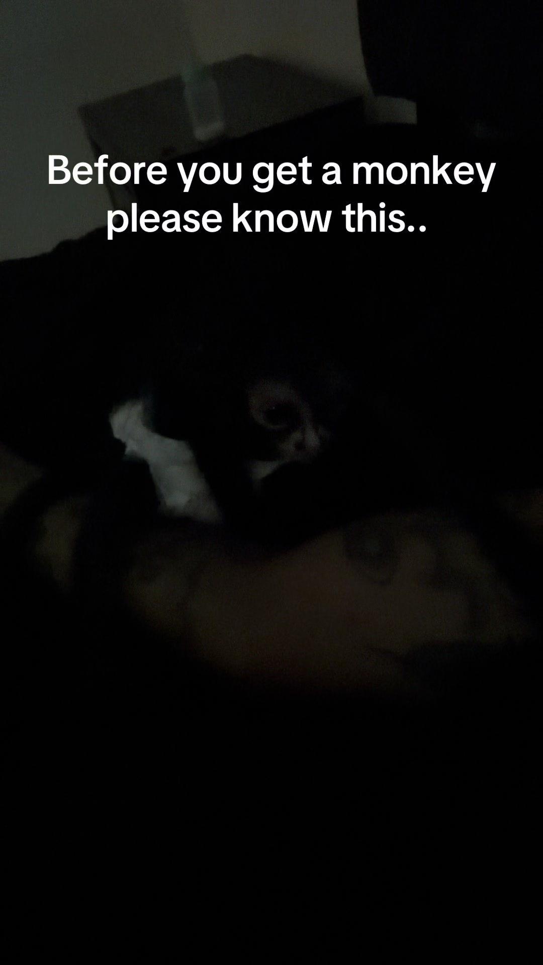 @OJTV & Mojo Jojo🧡