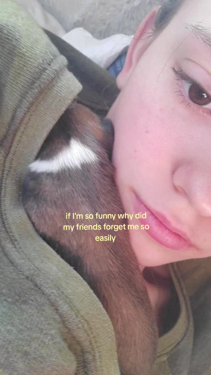 @kittycat