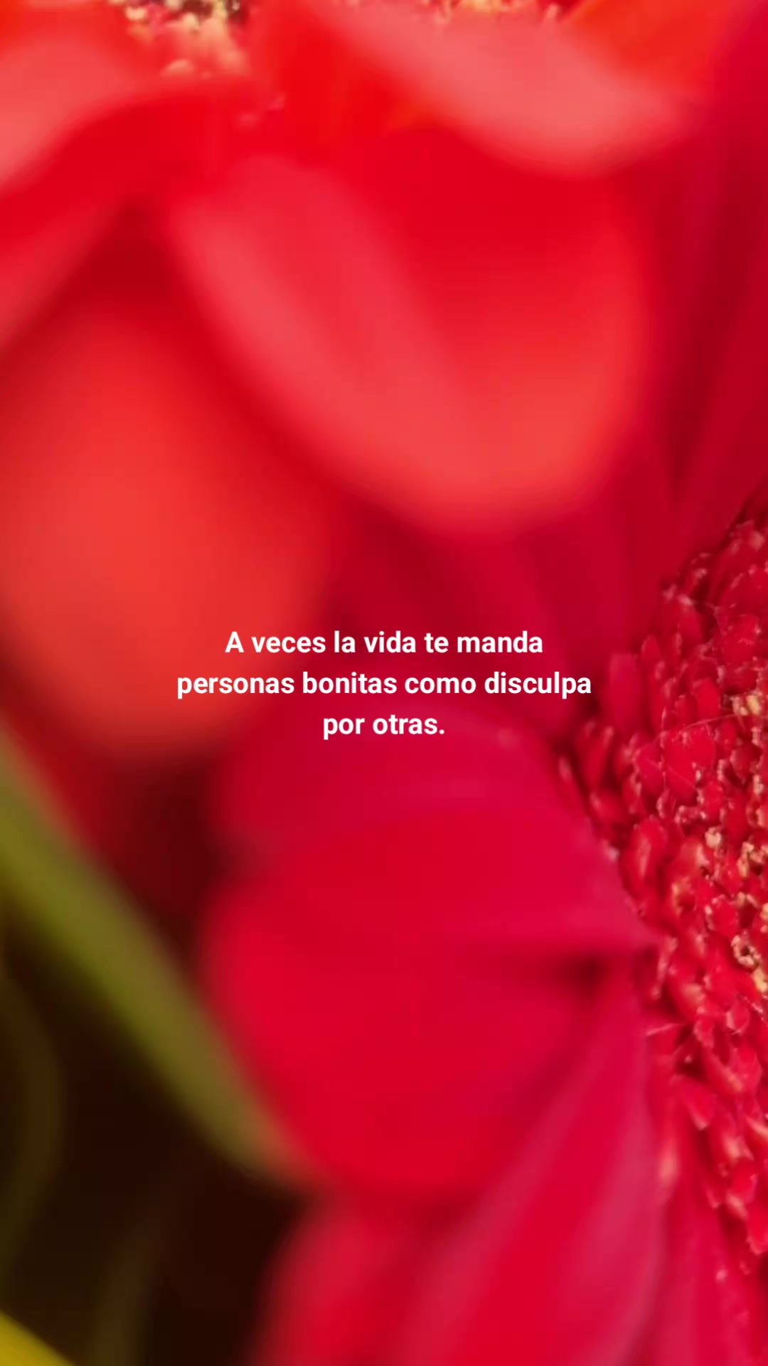 @Brizbasquiat