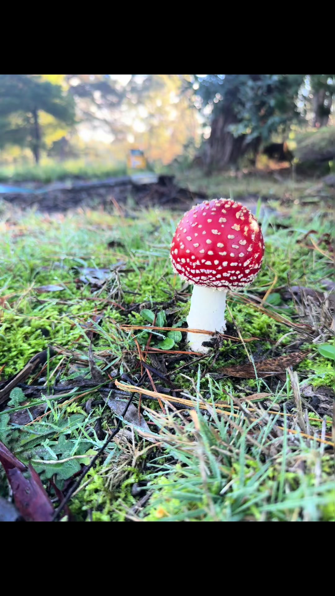 @Roberta Brill