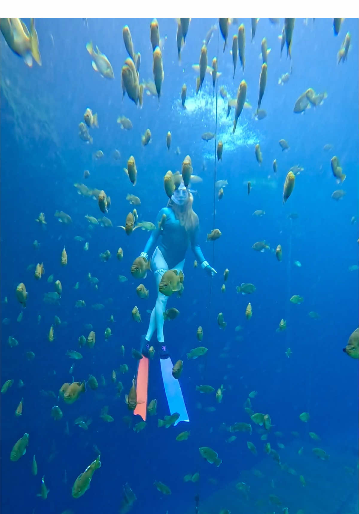 @Coralia Dives 🧜‍♀️