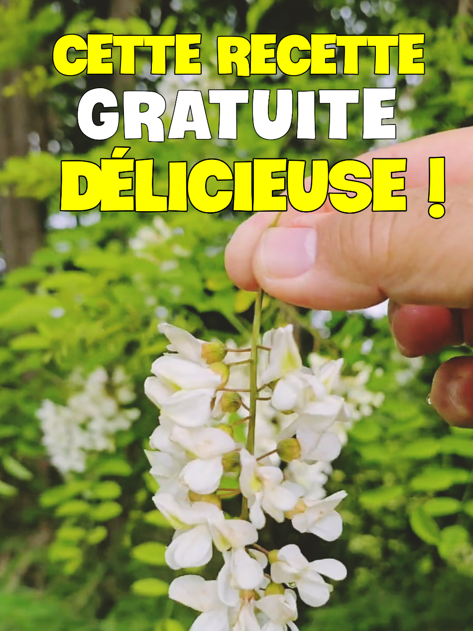 @Dan 🍄&zwj;🟫 Le Champologue