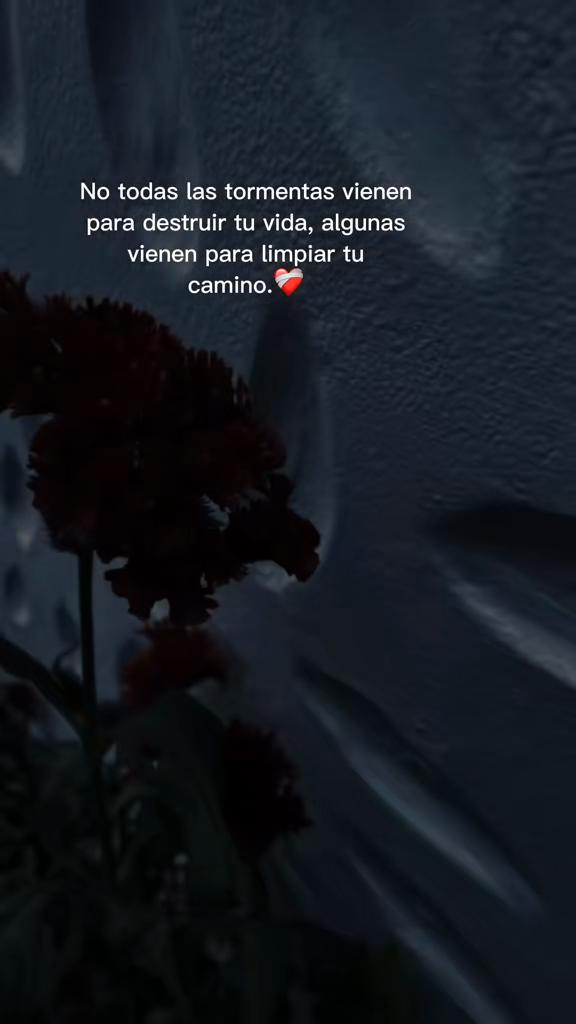 @luzbelizario