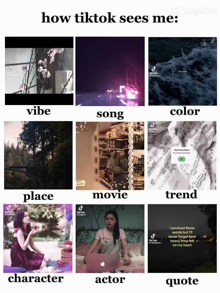 @๐โนโโ ๐น๐๐๐ถ โ๏ฝก๐ฆน°โงโ