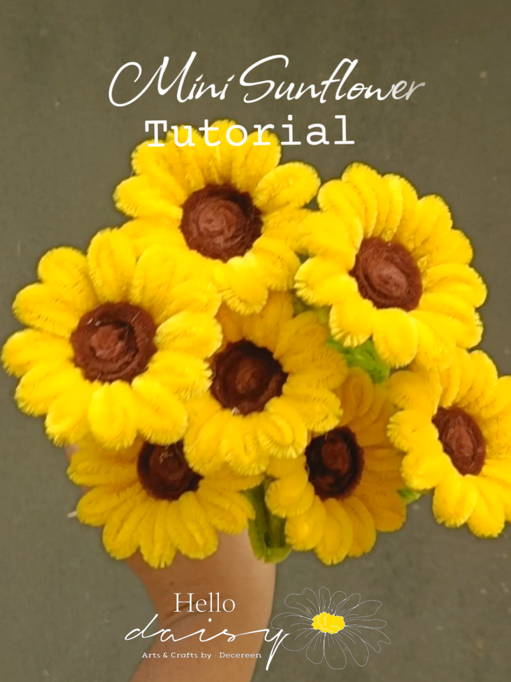@Hello Daisy
