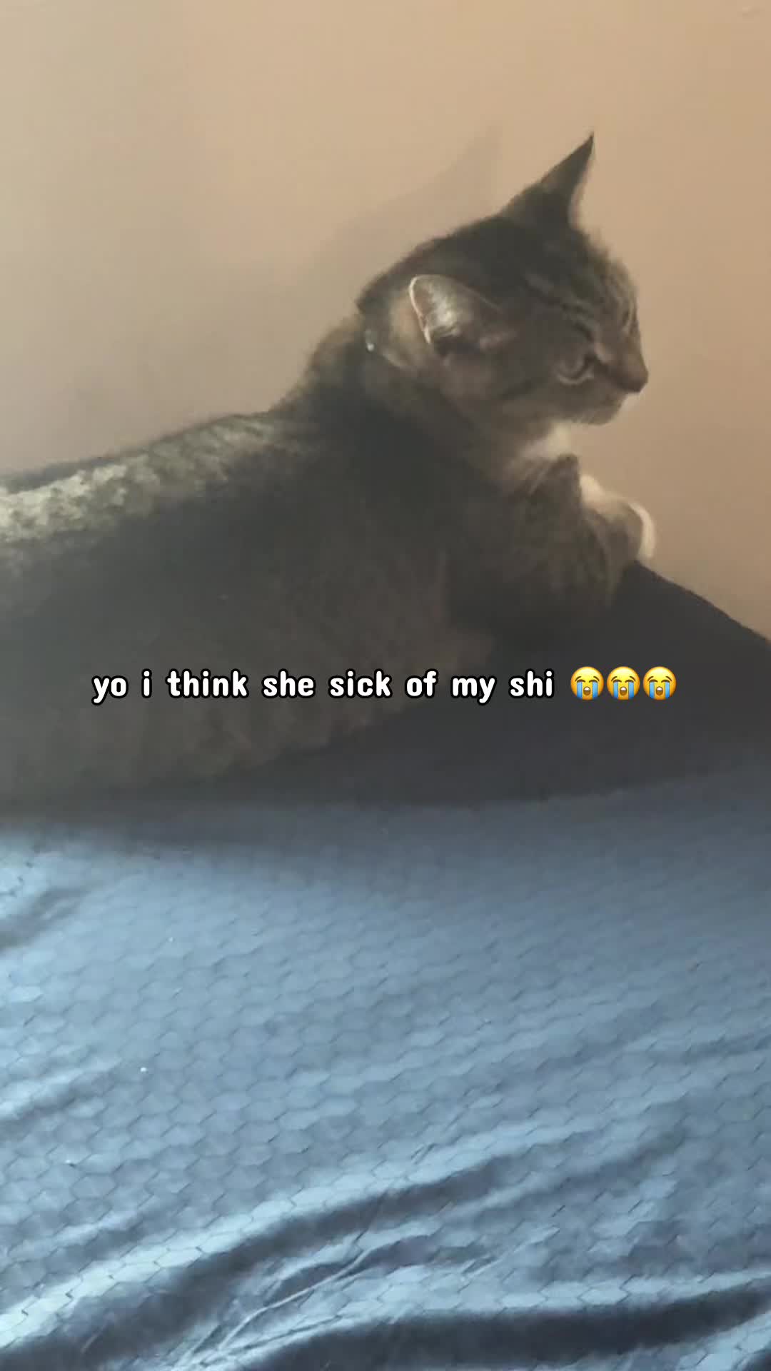 @ShawnWasHere