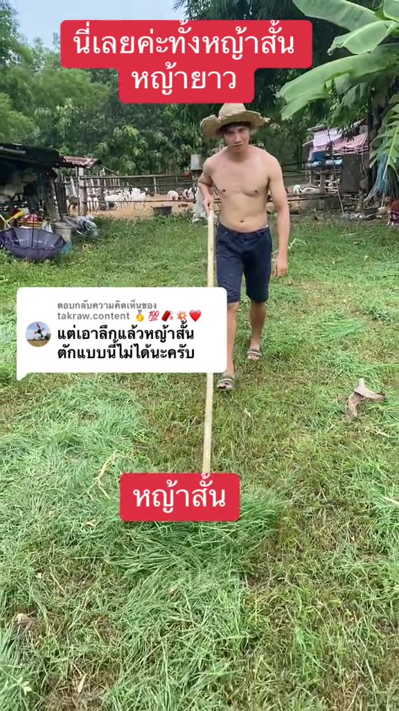 @นัดดาชอป