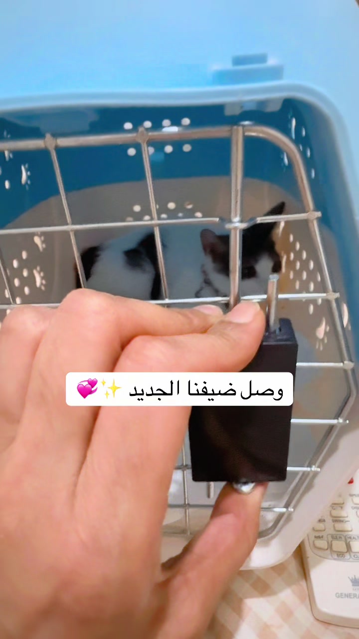 @لولو الحسني🇸🇦🫀