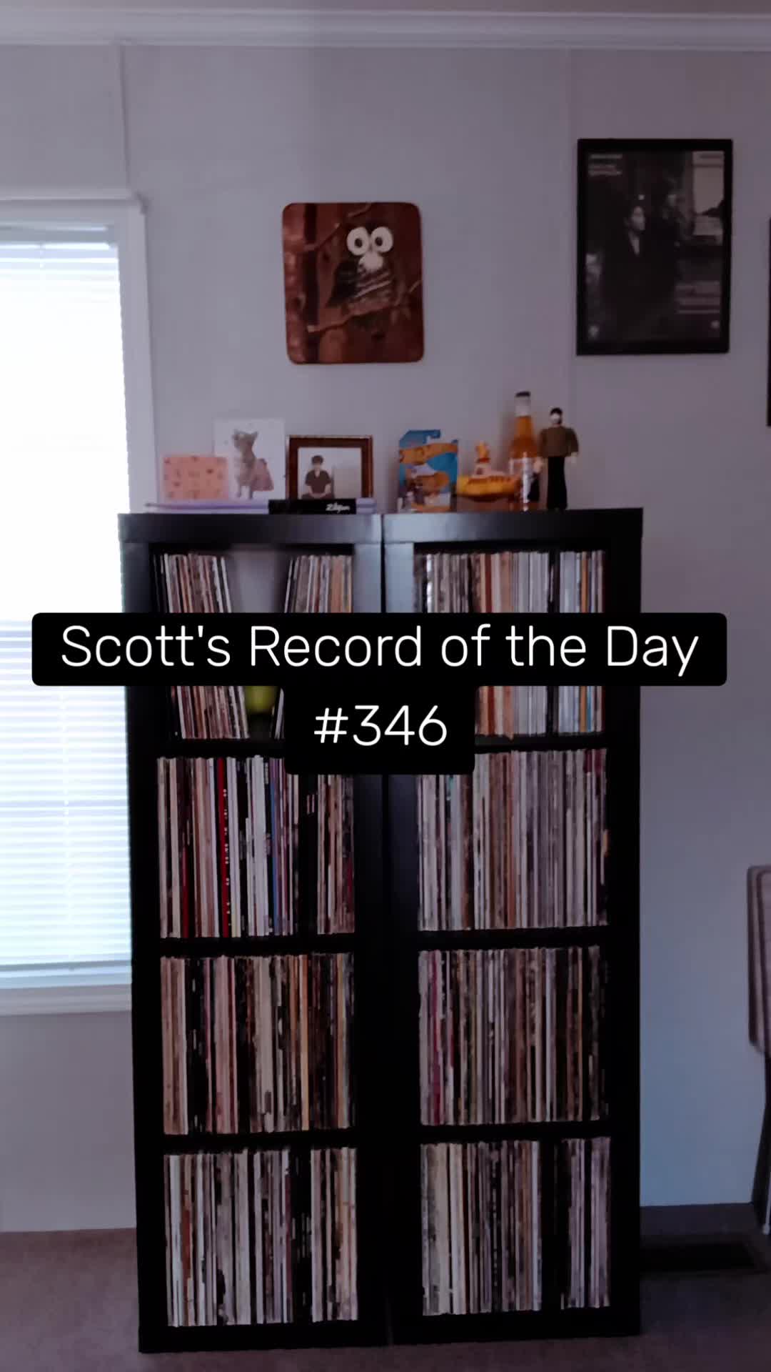 @Scott Reed ❌️
