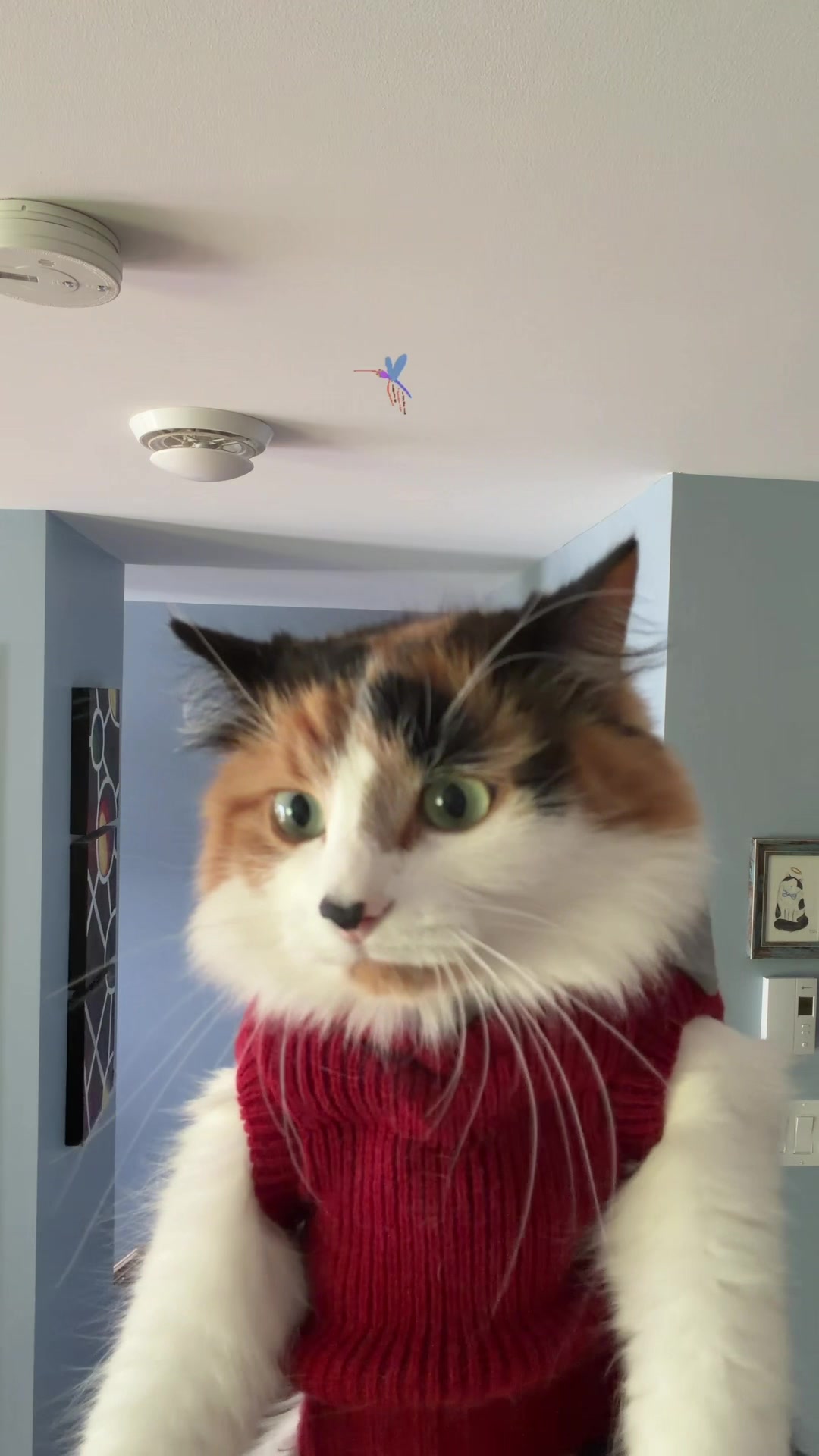 @The Oreo Cat