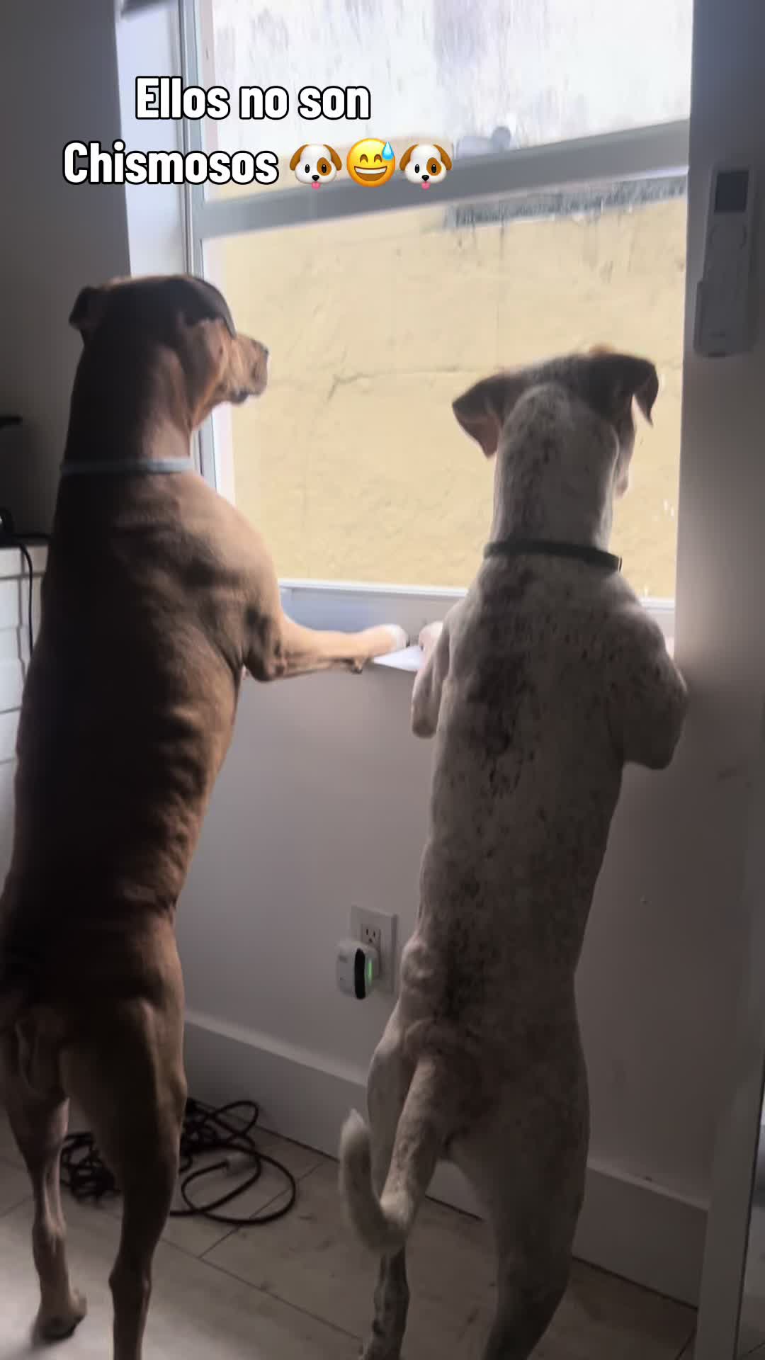 @anabelllopezrodri
