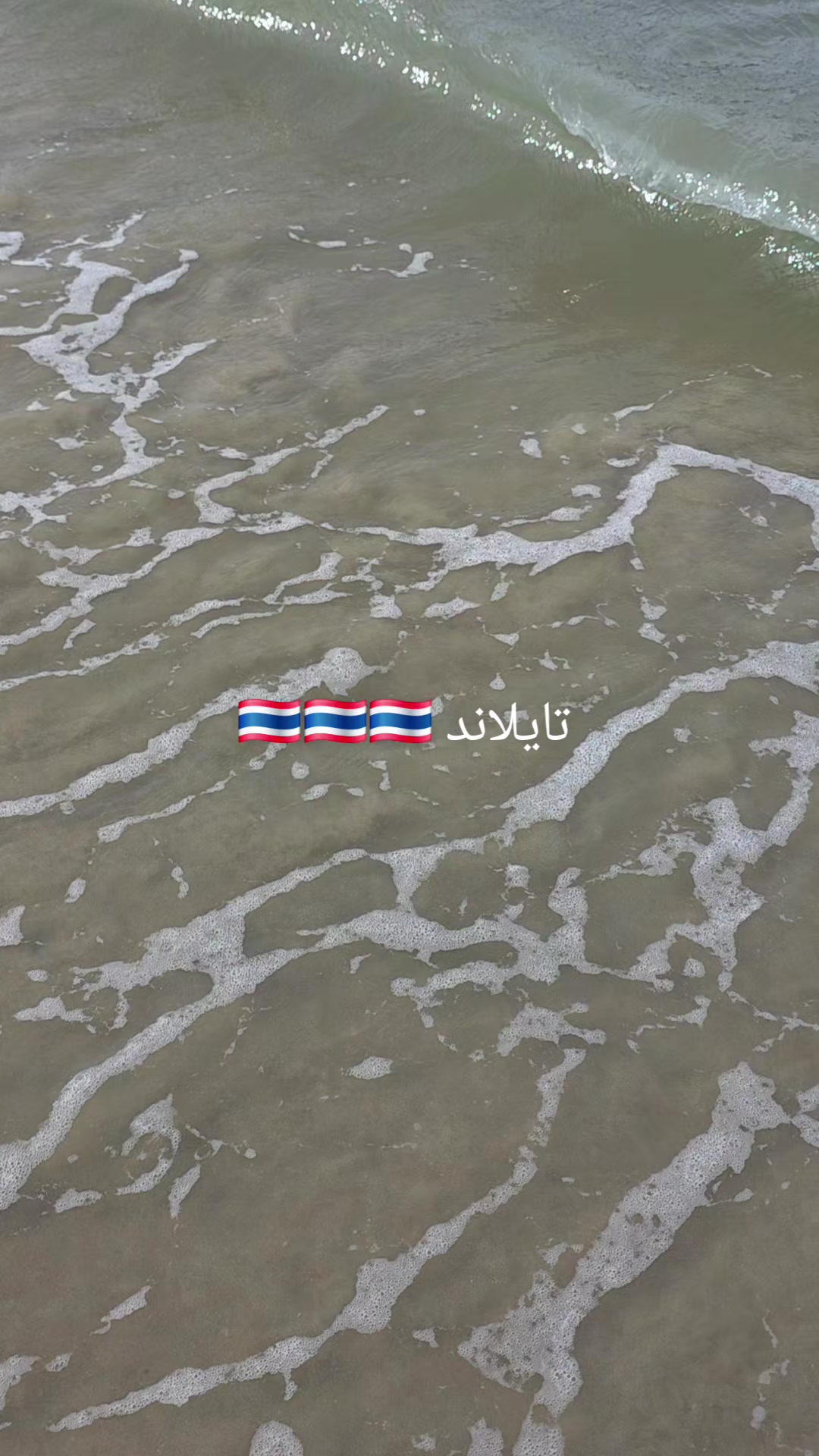 @🦋تشرين  🦋