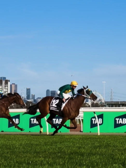 @VRC || Horse Racing