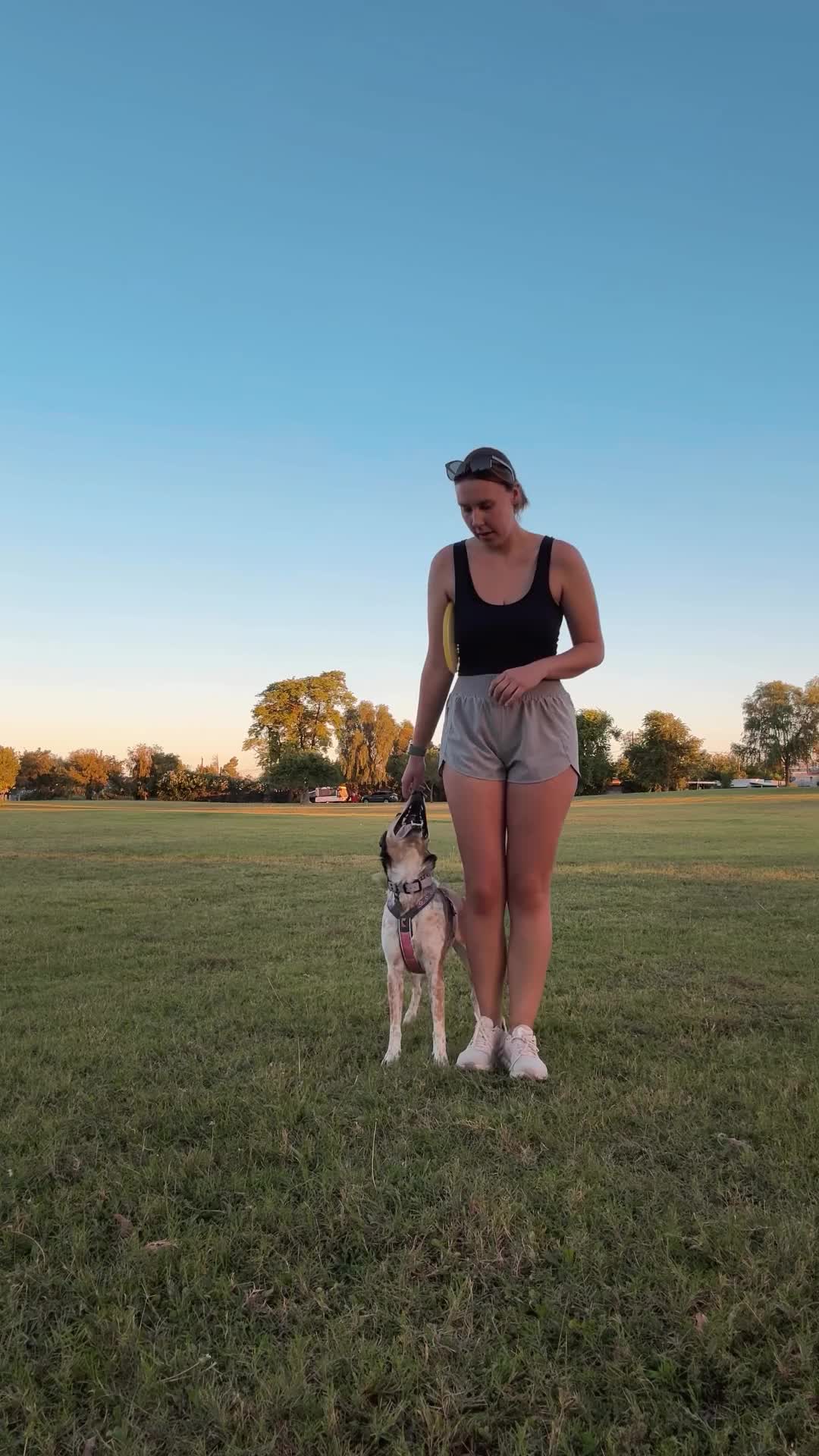 @Marissa | Kota & Aspen