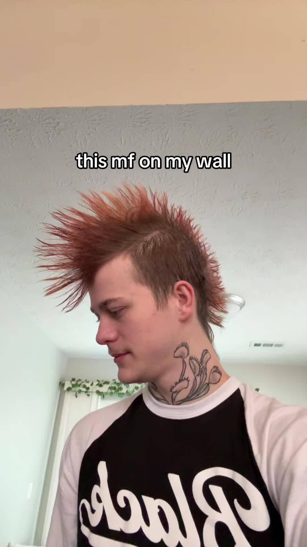 @🦊 🛻
