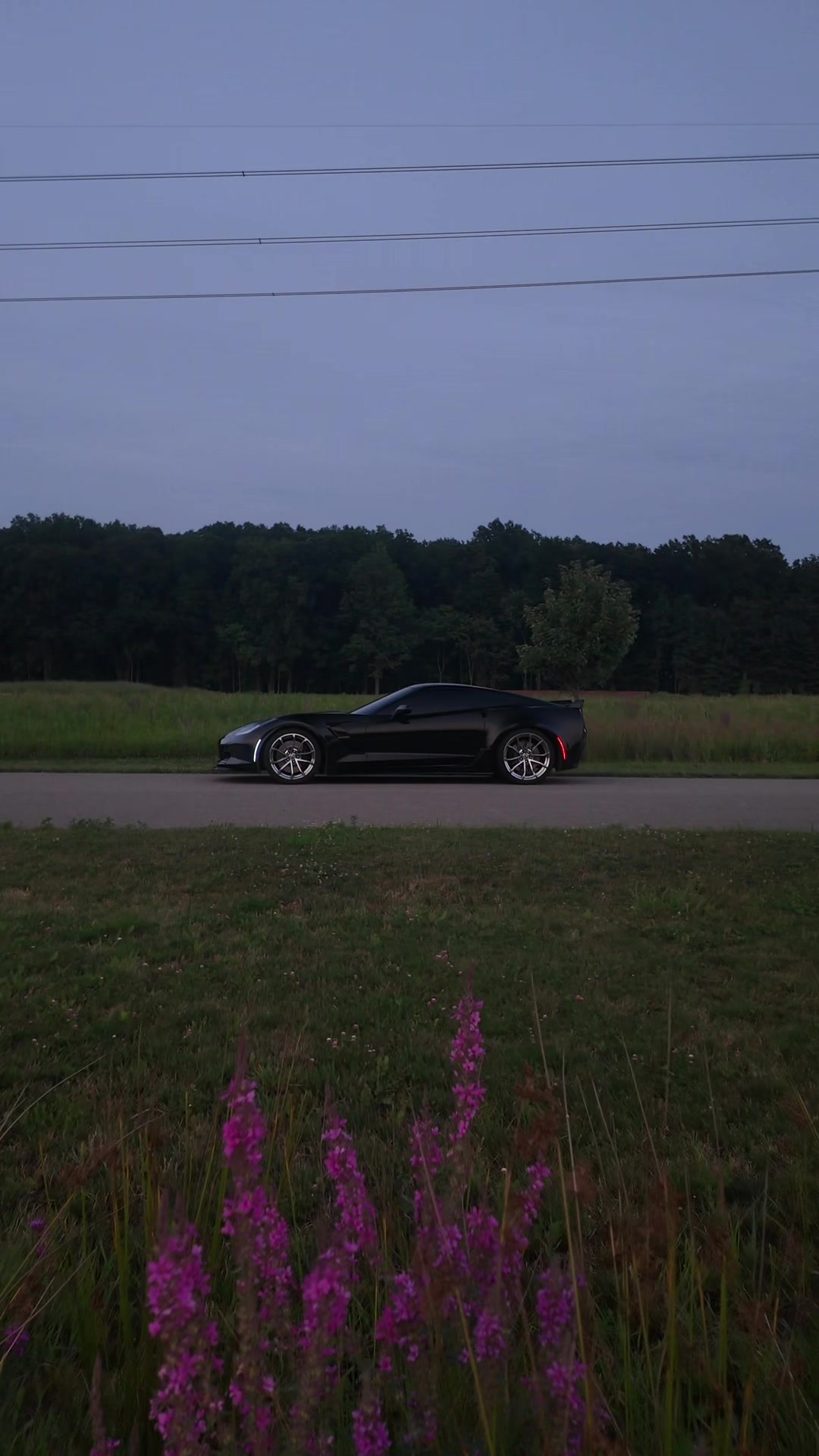 @vette.alex