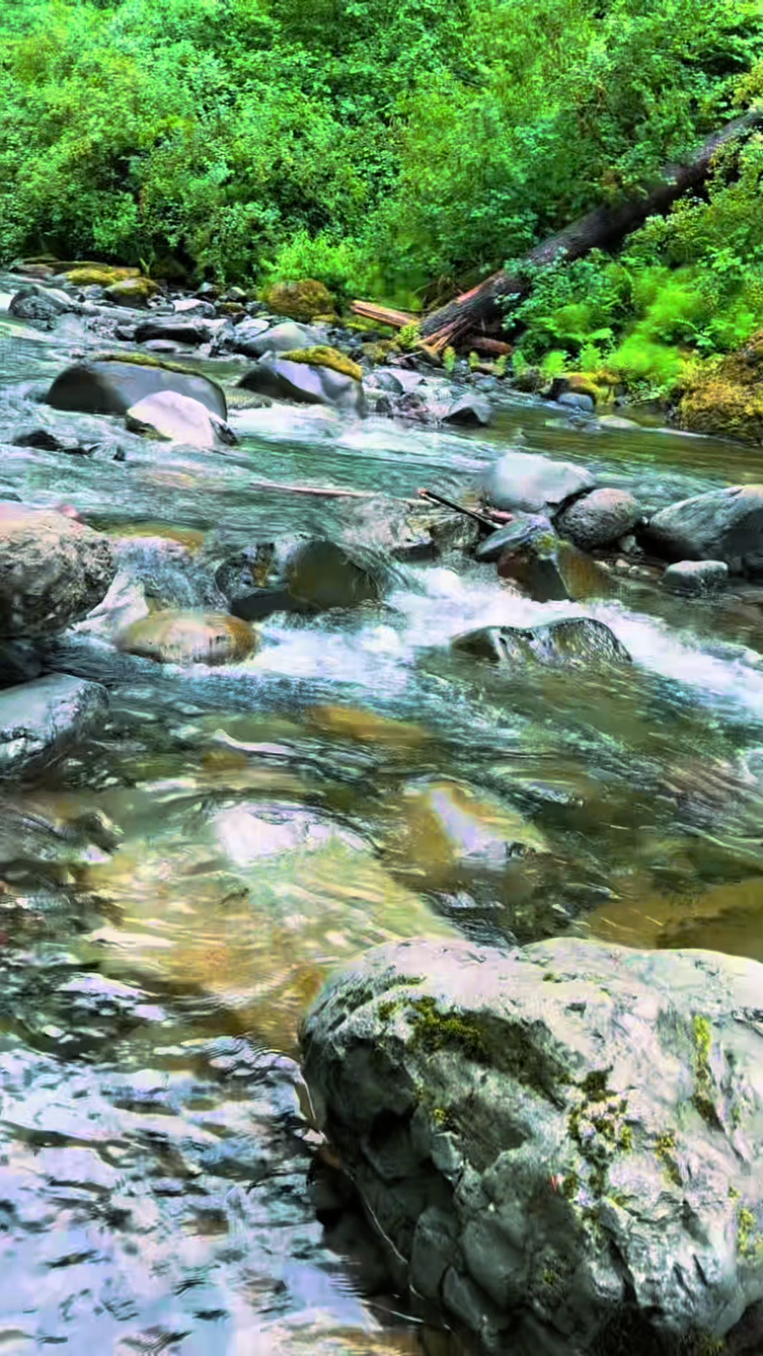 @Nitu Rajbhandari