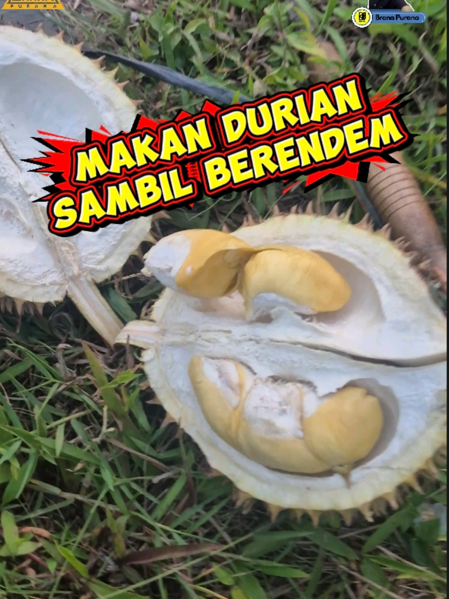 @Brana Purana