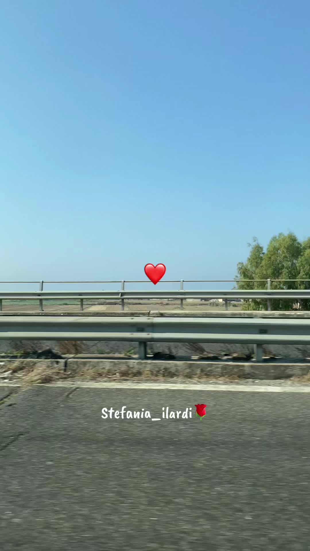 @stefania_ilardi