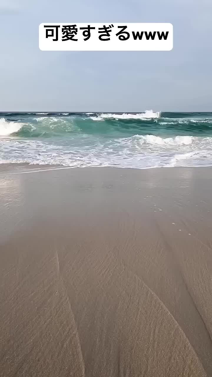 @user8396128005340