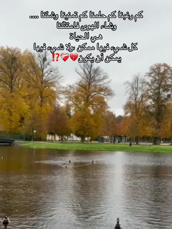@🌺👑✨سمو الملكه بيان ✨👑🌺