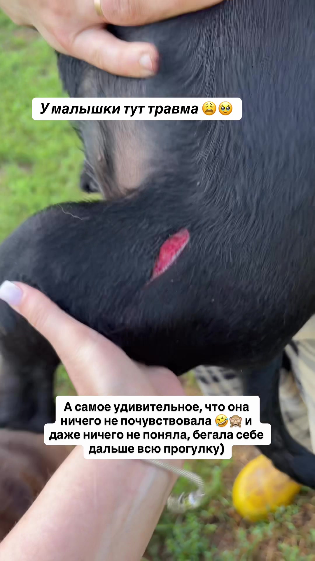 @nadezhdabiryukova