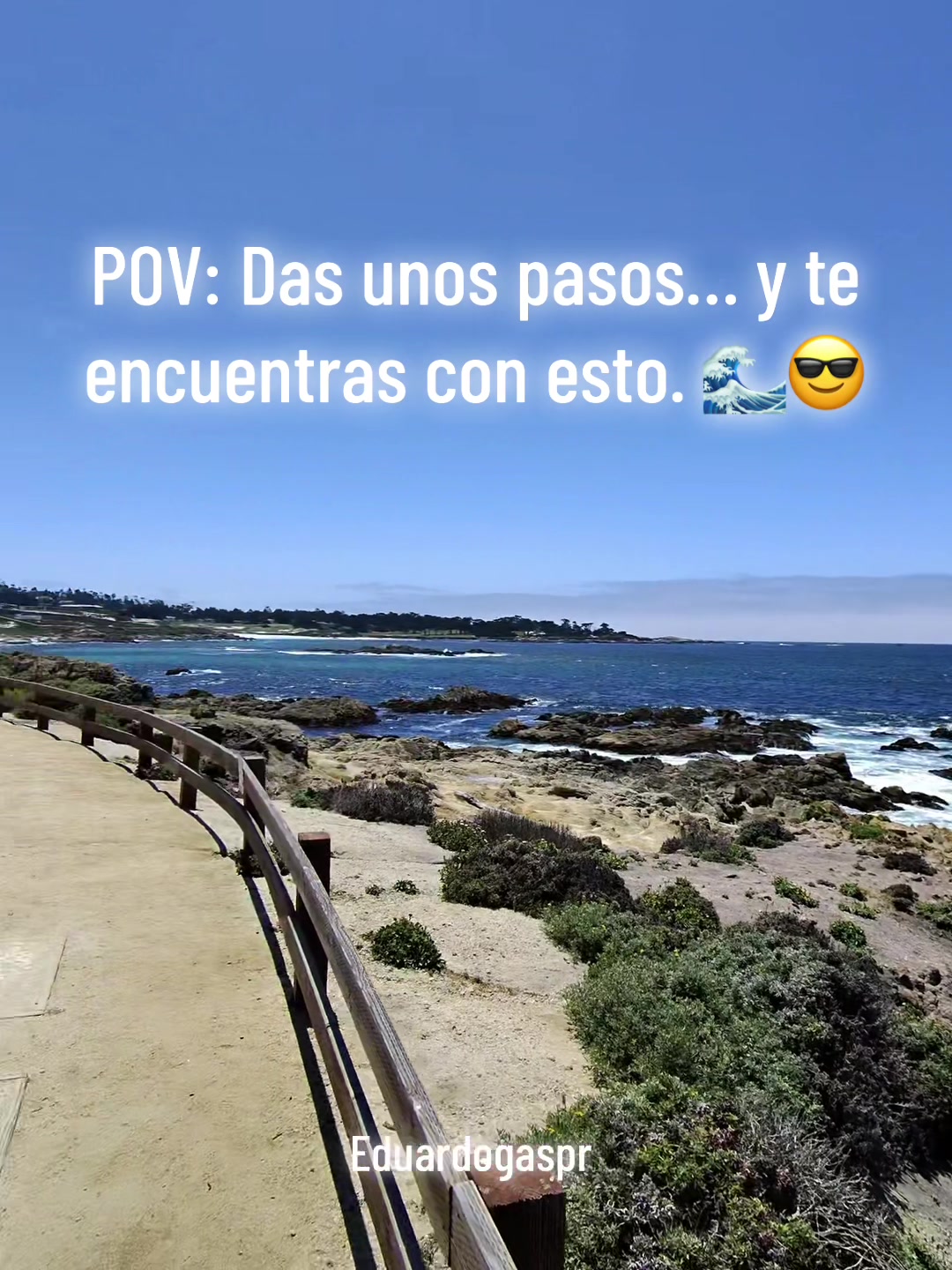 @Eduardo Gaspar
