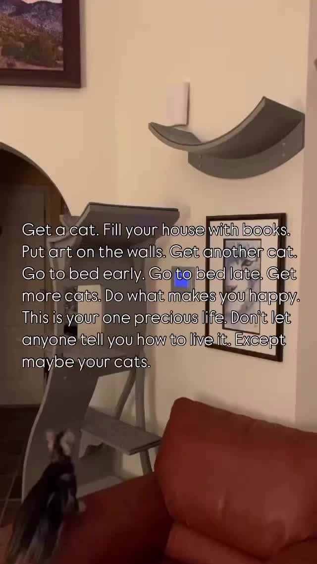 @The Refined Feline