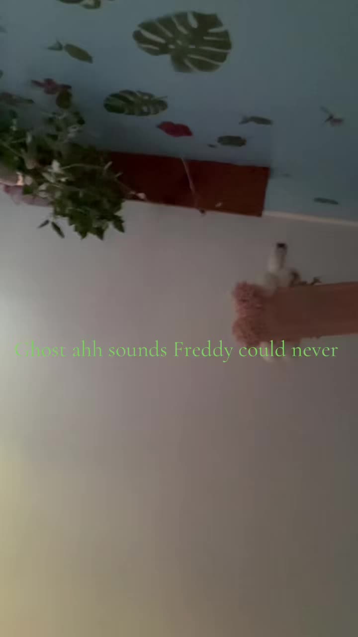 @Freddy_theFreakyFrog
