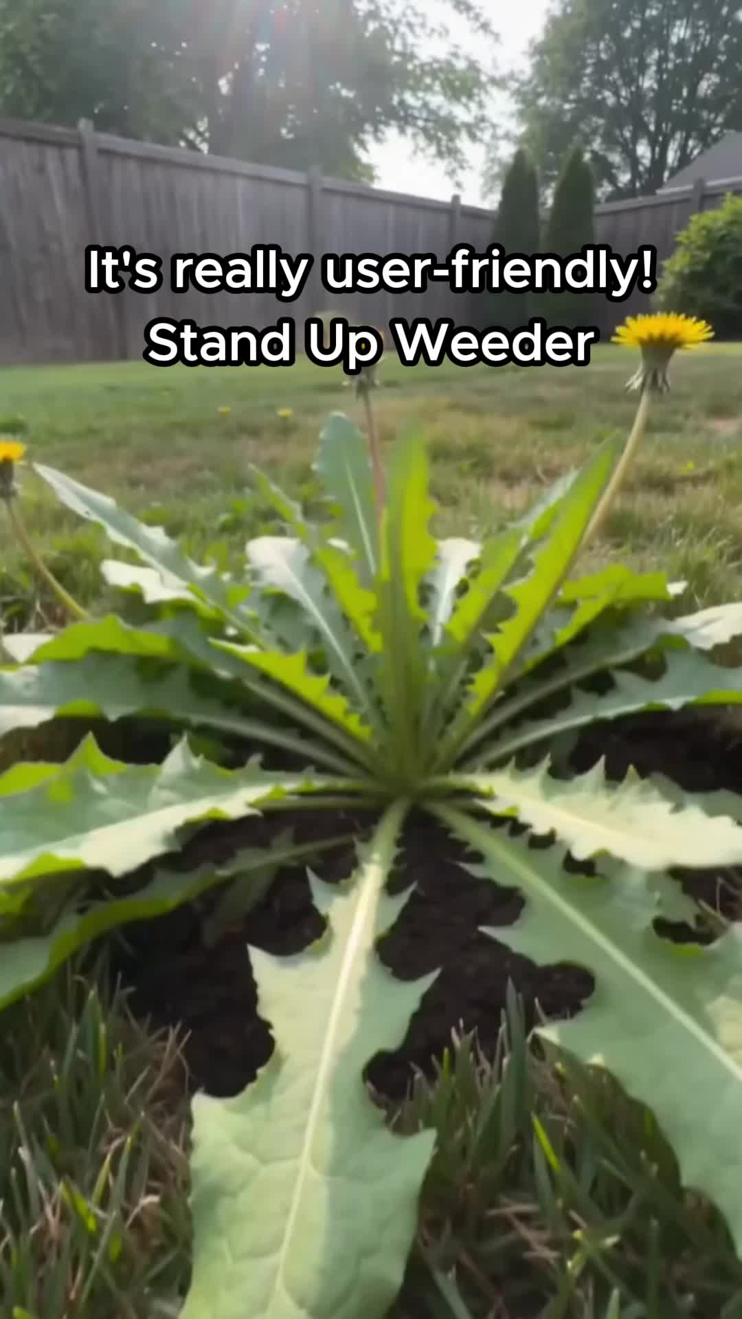 @zxmccbjn2js
