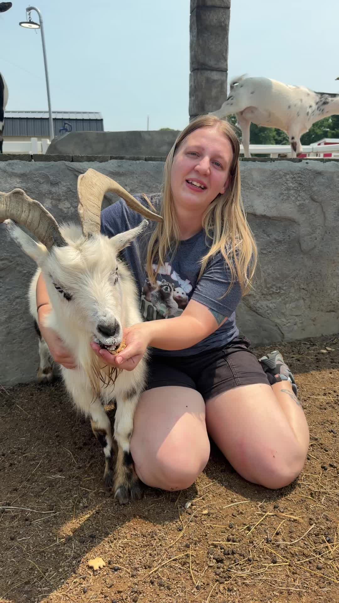@Westmeister Farm