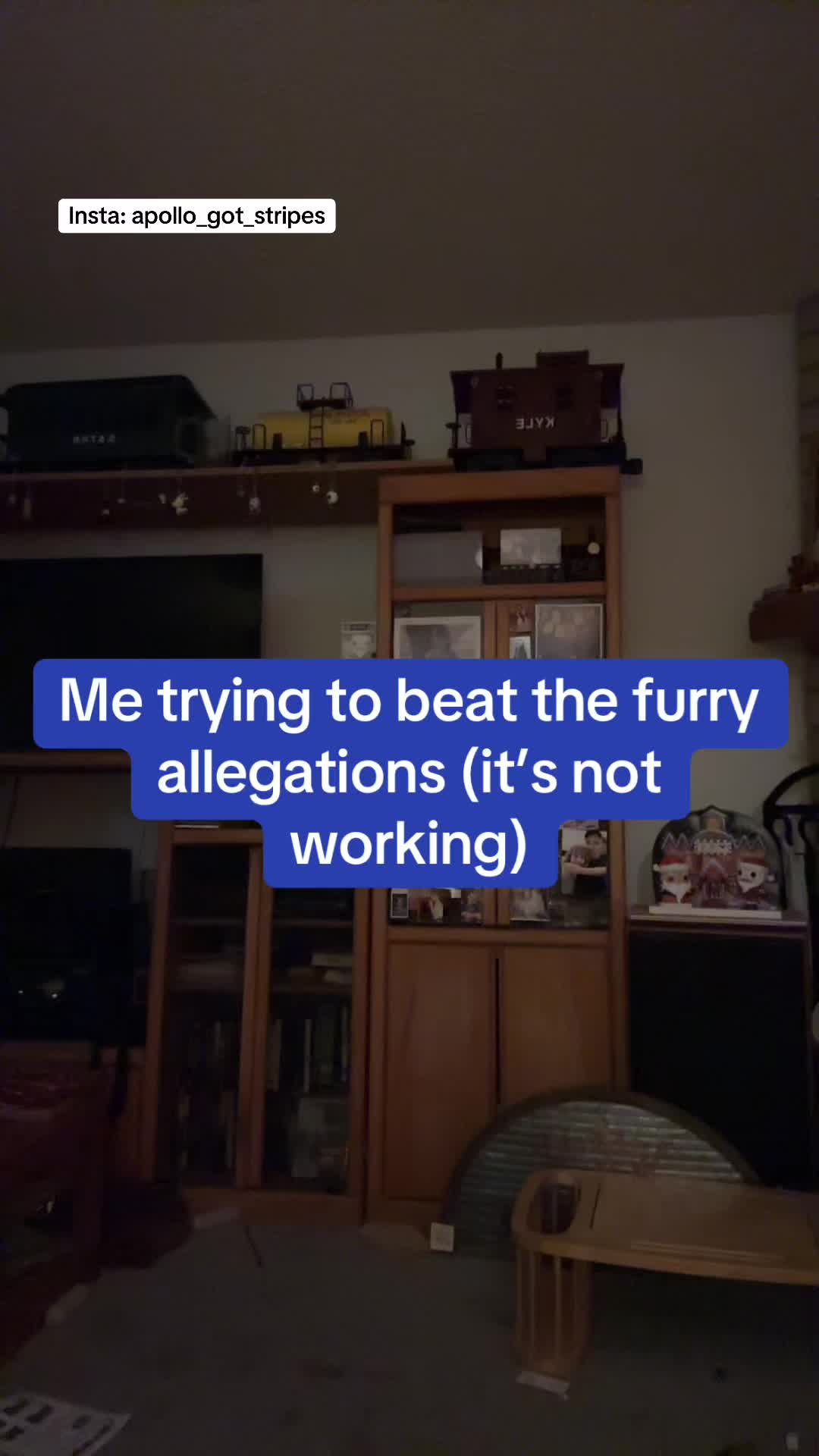 @Apollo The Tiger