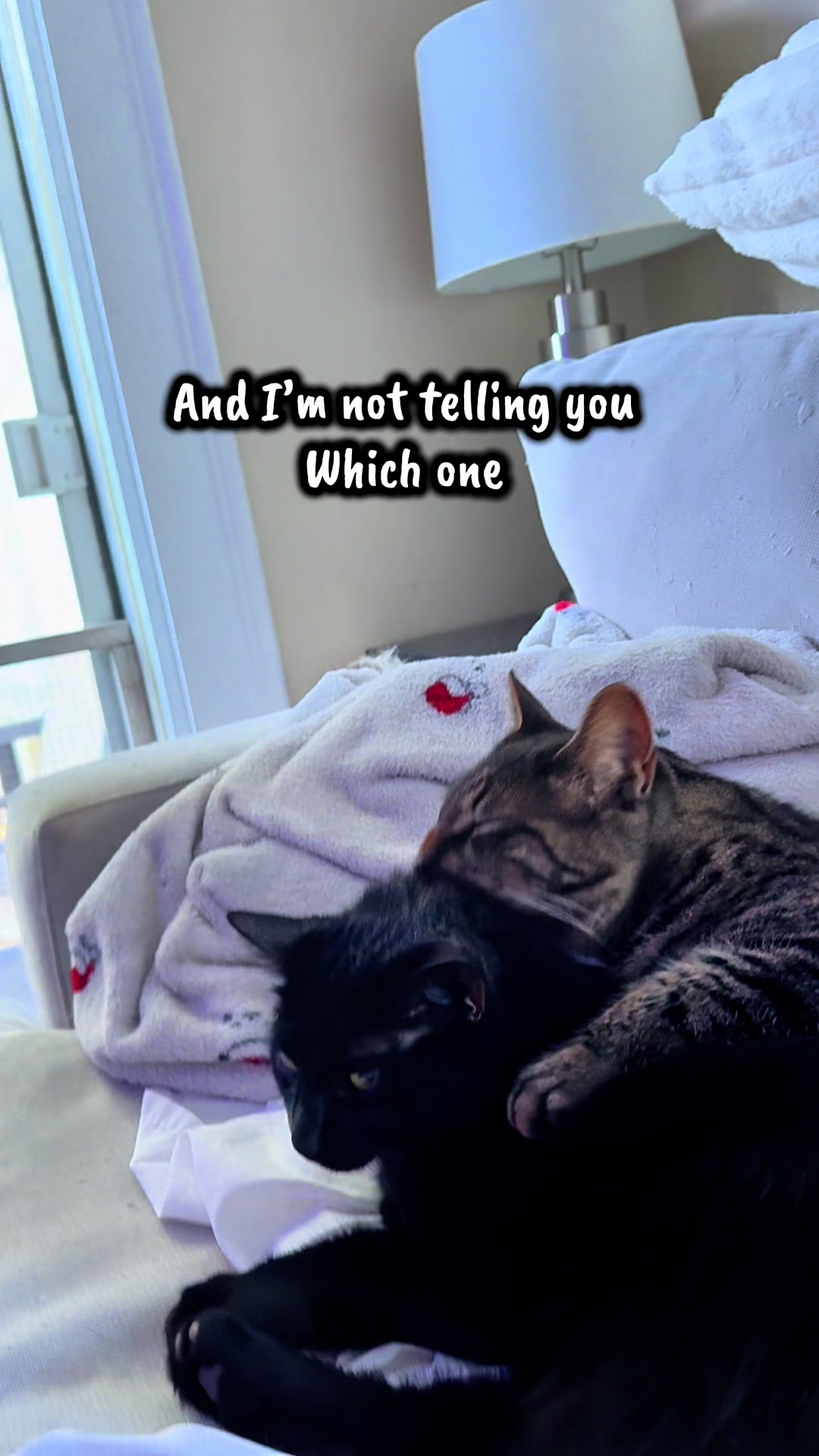 @TailsandWhiskersCo