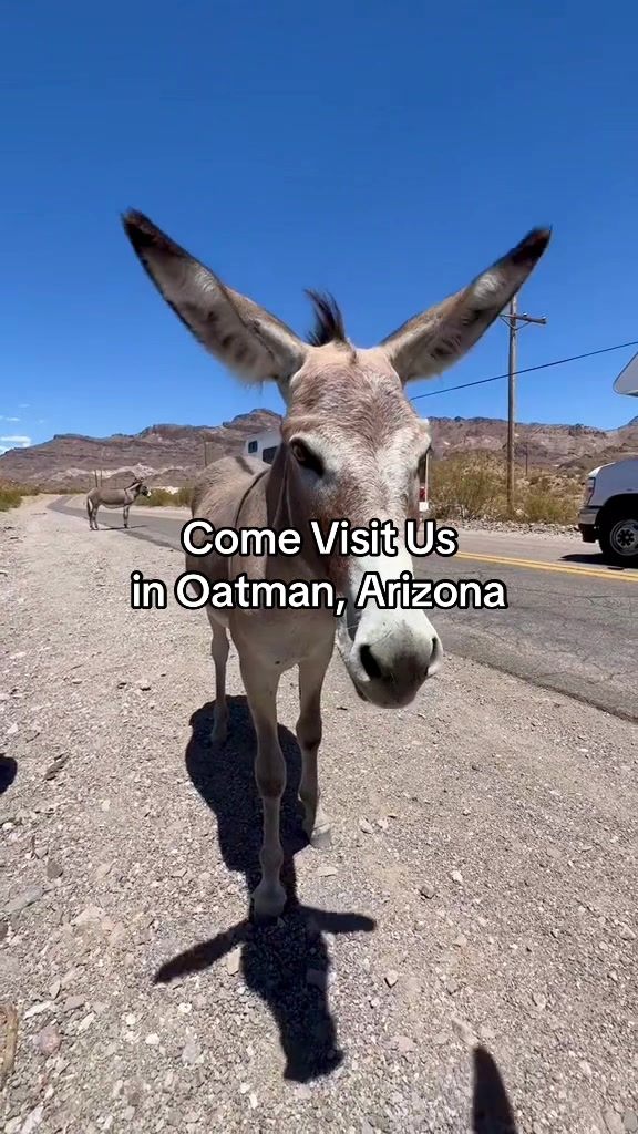 @ArizonaTribe