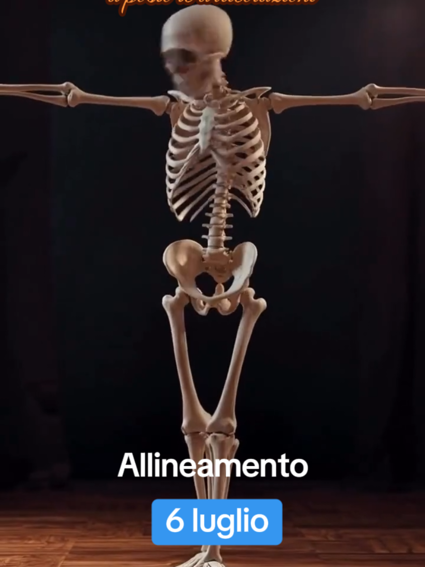 @Lia Liretta