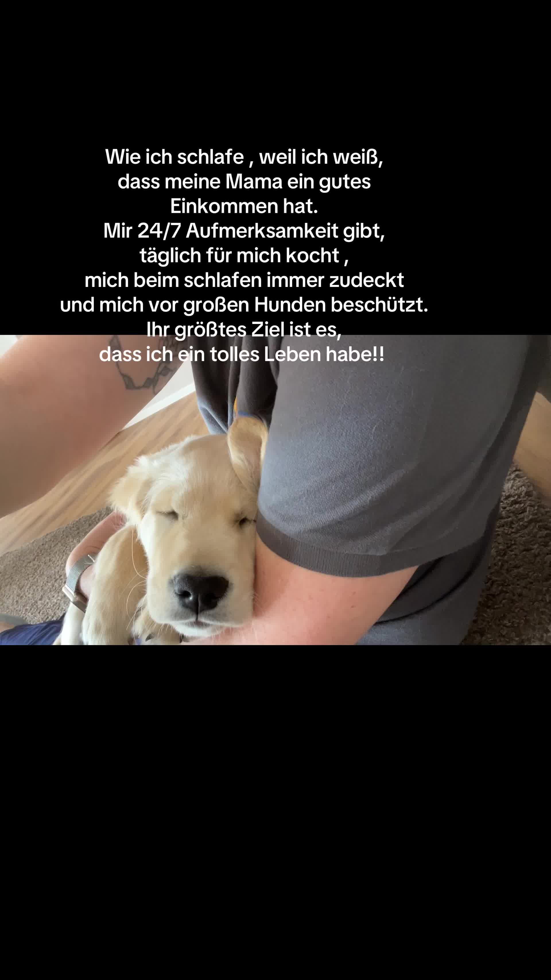@Adonis und Amor 💘