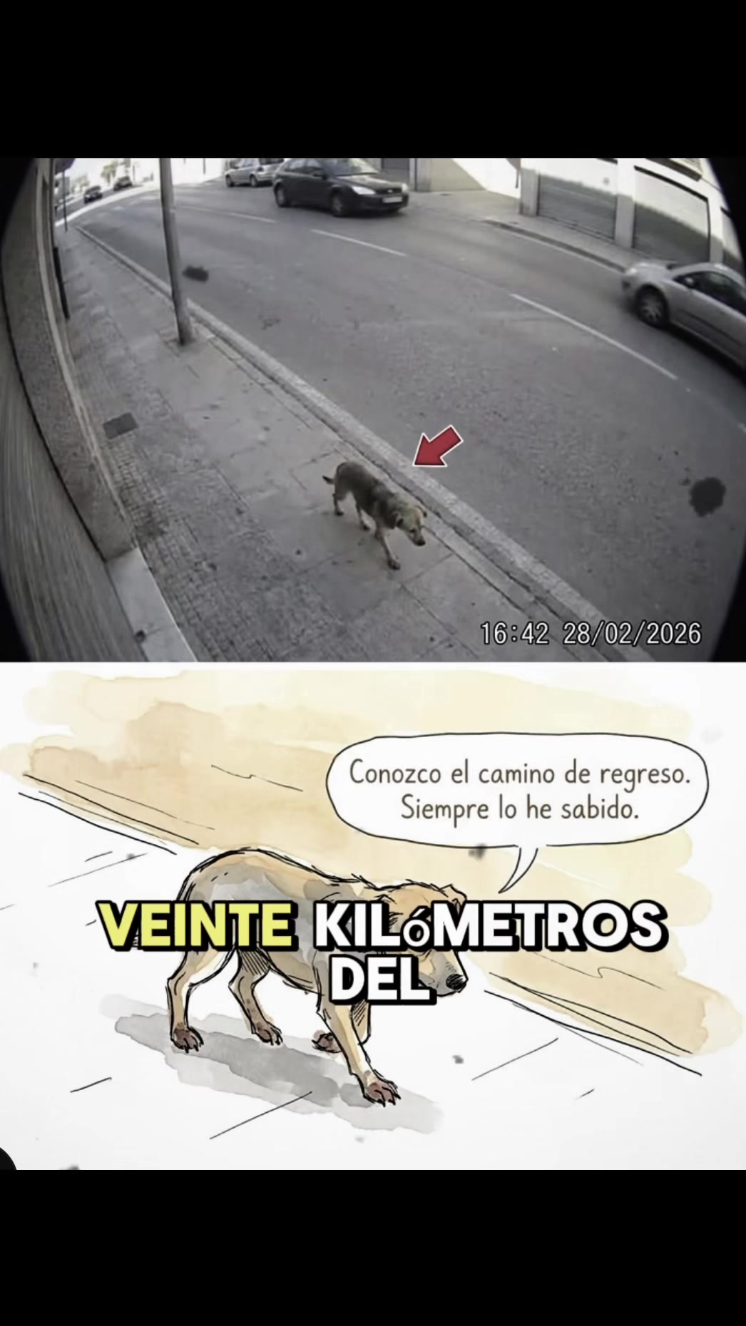 @Hector M Solorzano