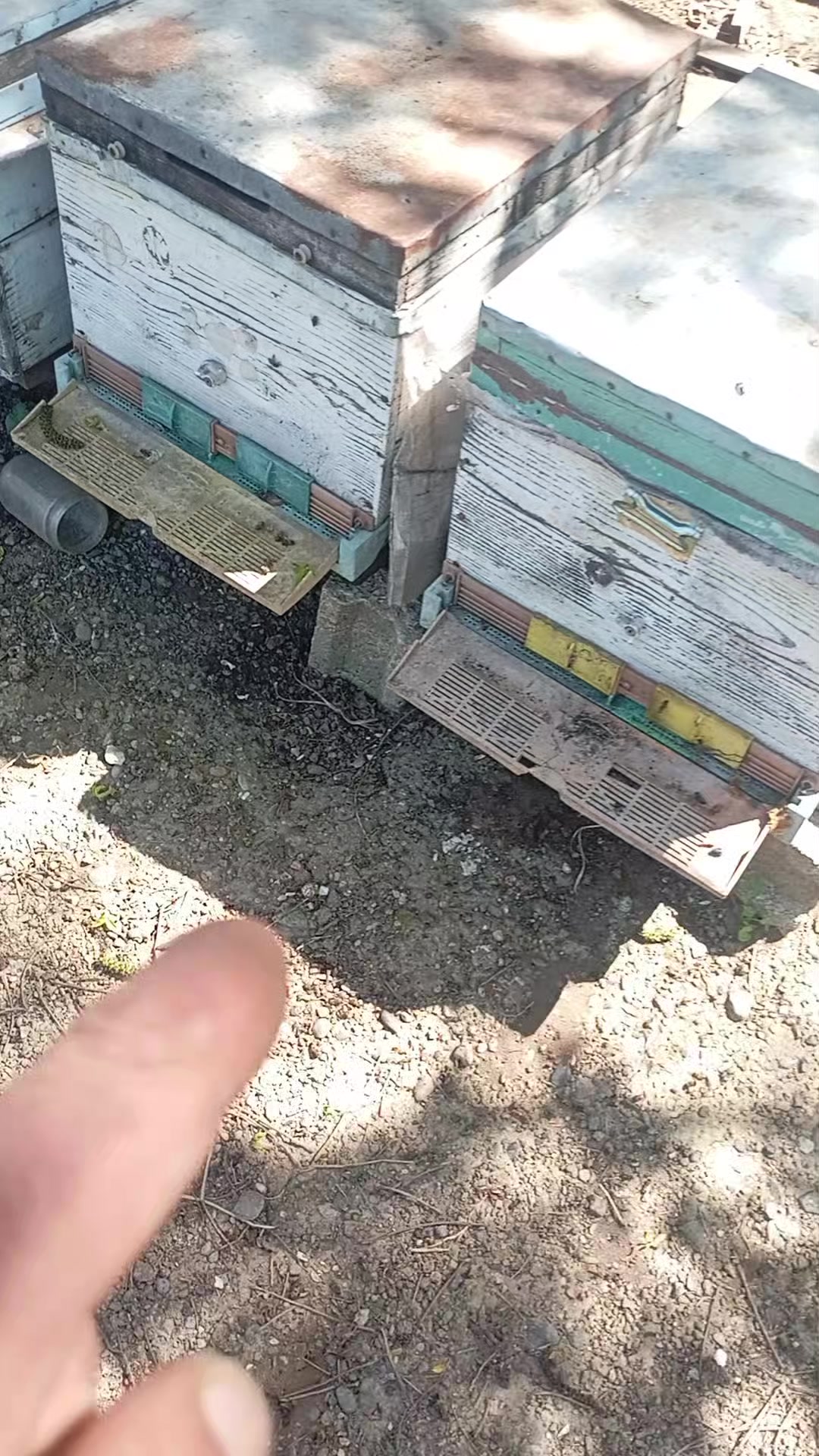 @&ccedil;amur