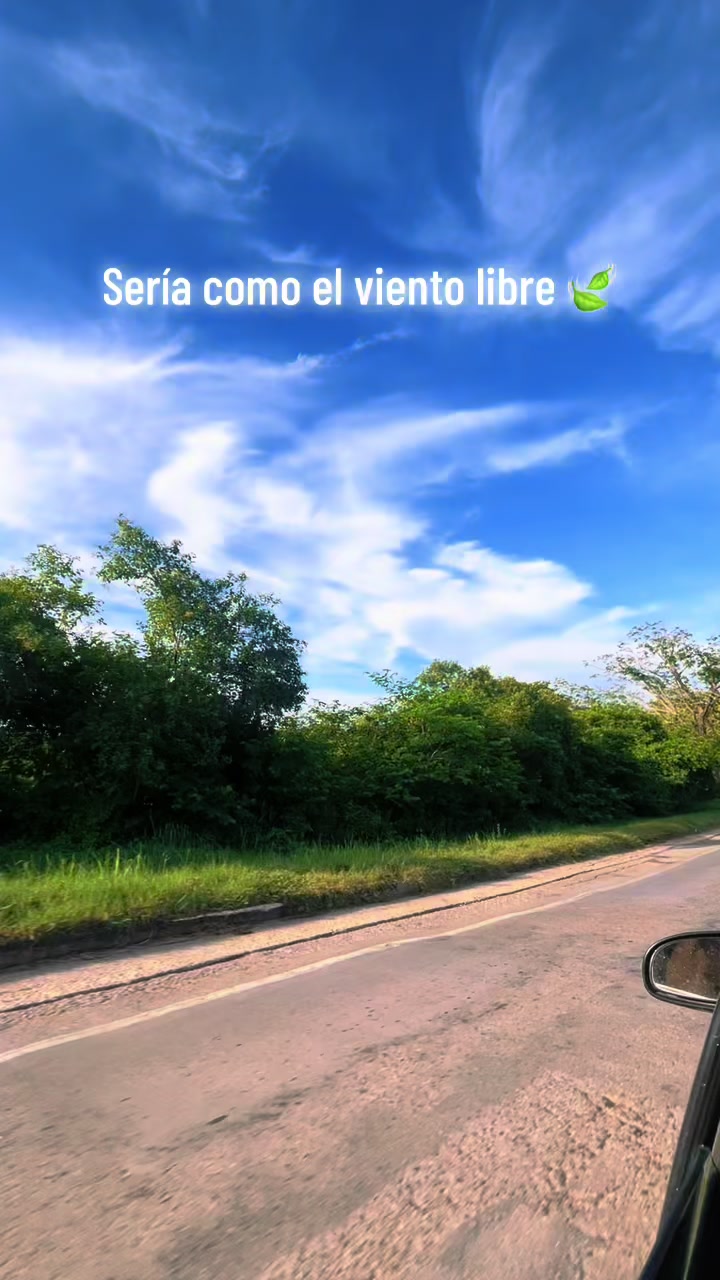 @VANE